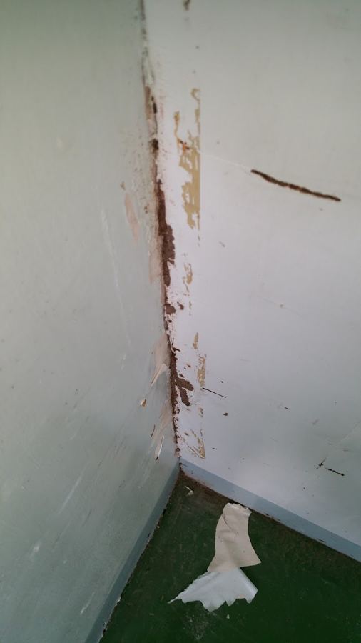 Yakal Anay Pest Control work photo