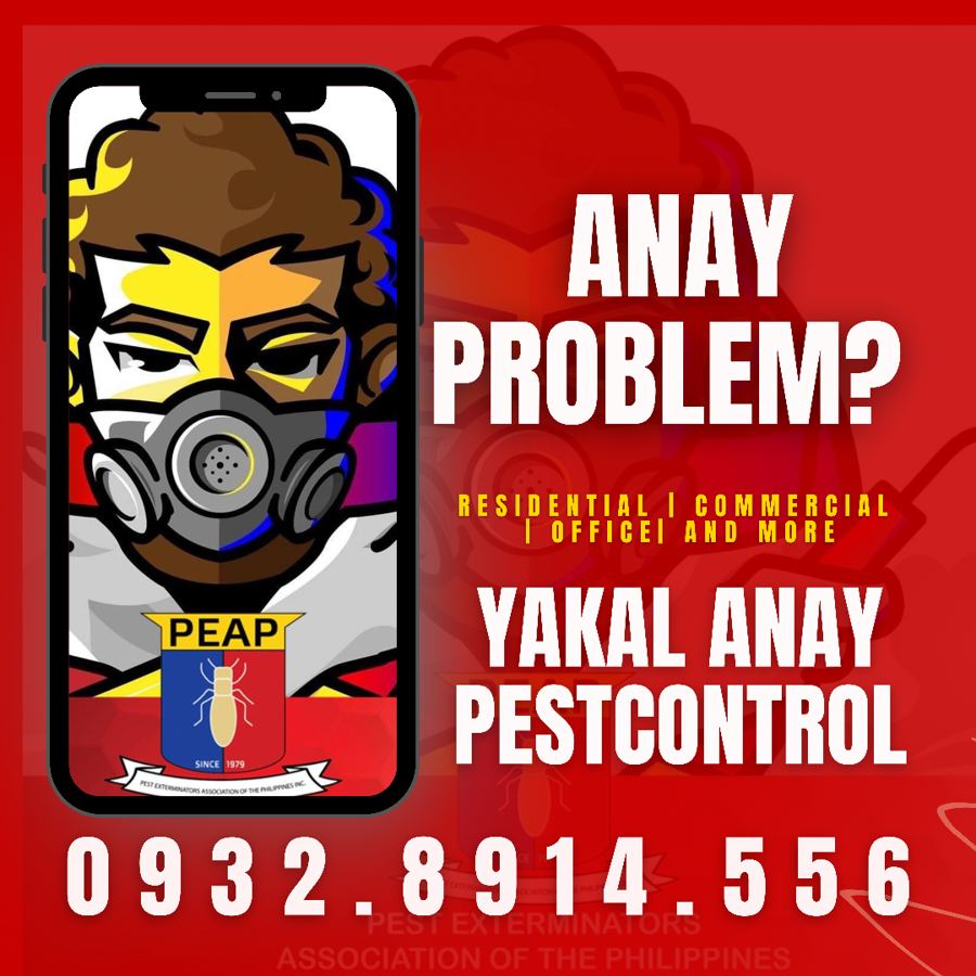 Yakal Anay Pest Control work photo